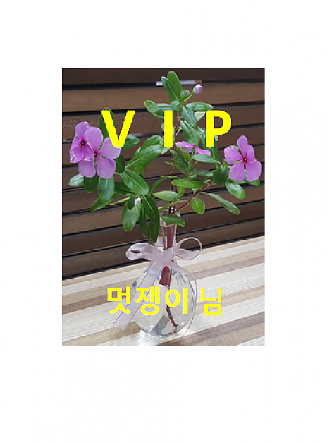 [복사] VIP 개인결제창